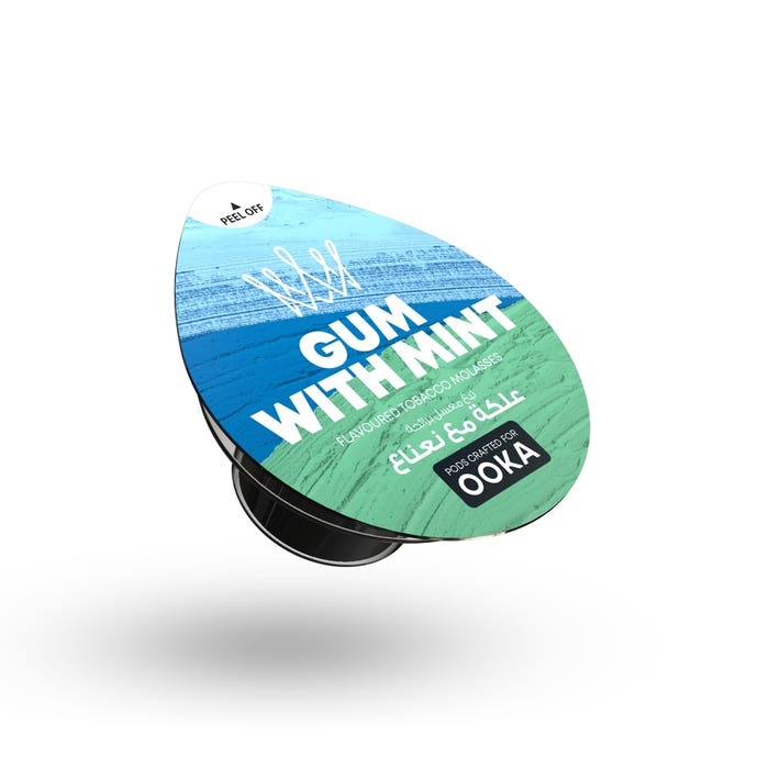 AI Fakher Gum With Mint Pack of 2