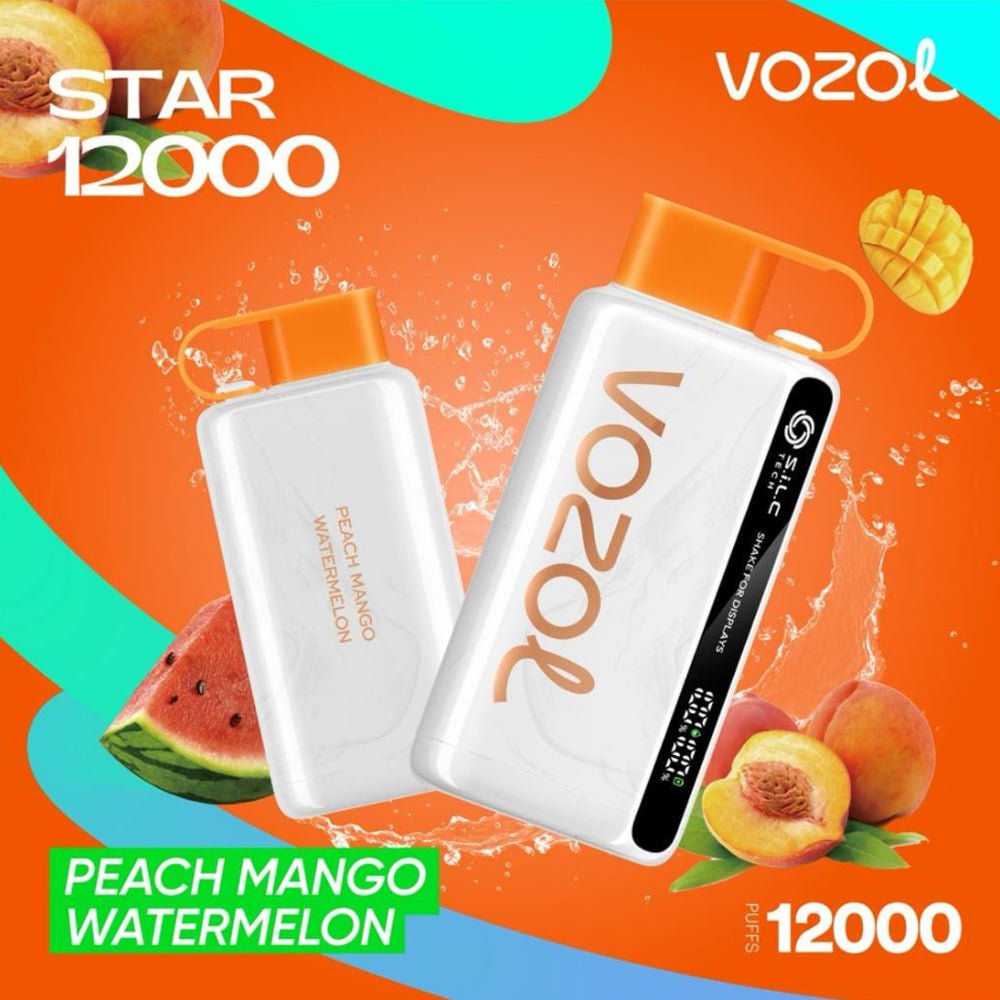 Vozol Star 12000 Puffs Disposable Vape Device 50mg