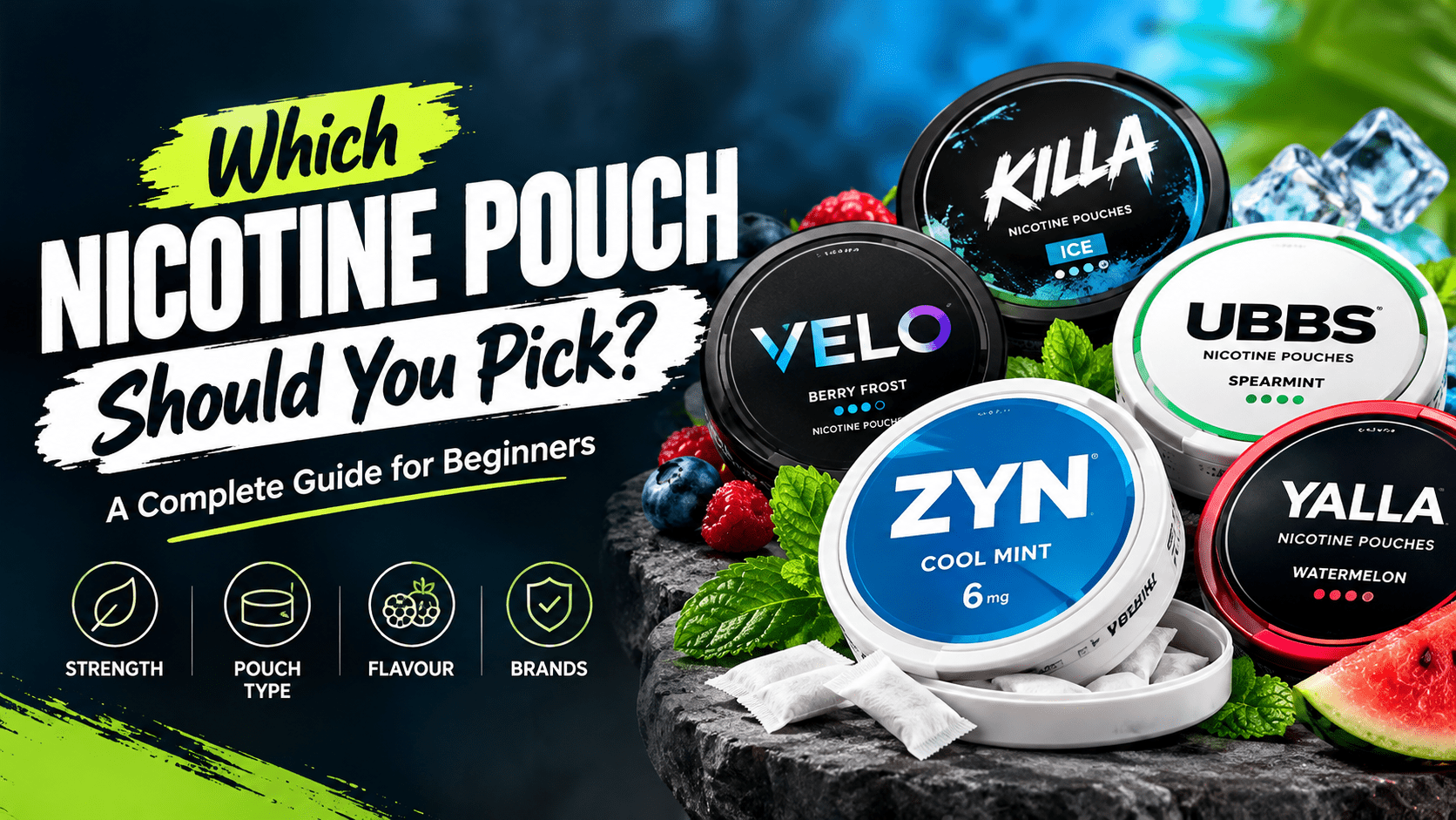 Which Nicotine Pouch Should You Pick? Complete Guide