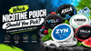 Which Nicotine Pouch Should You Pick? Complete Guide - VapeBoo