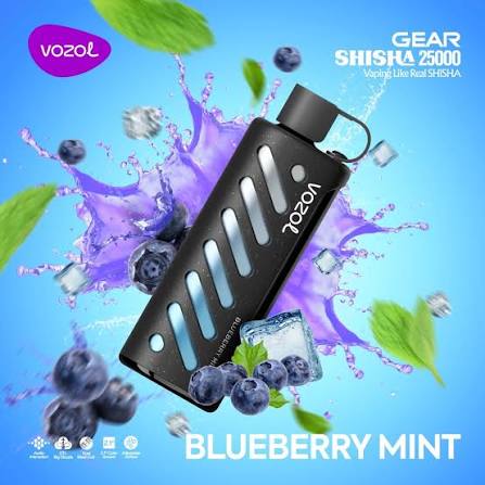 VozolGear Shisha 25k Disposable Vape