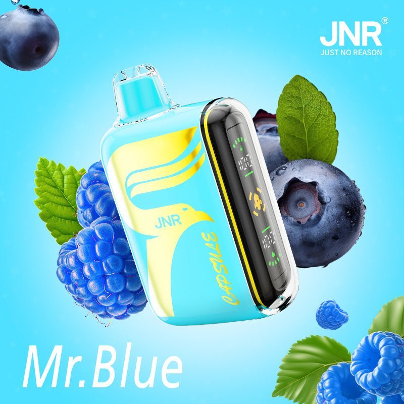 JNR Capsule 15000 Puffs Vape
