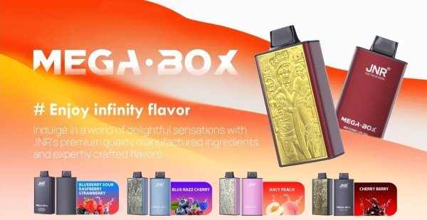 JNR Mega Box 25k Prefilled Vape Kit