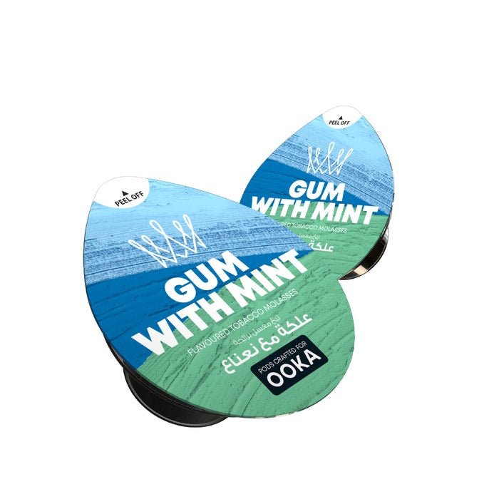 AI Fakher Gum With Mint Pack of 2 - VapeBoo